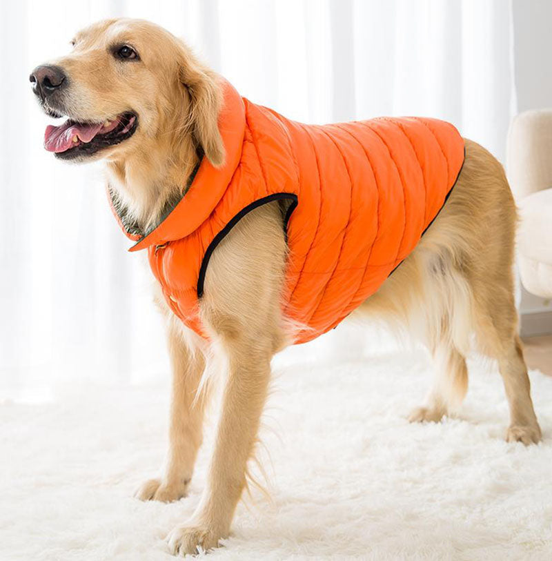 Abrigo de algodón de perro mediano grande de e invierno, ambos lados usan | Fei Zai Pet Store