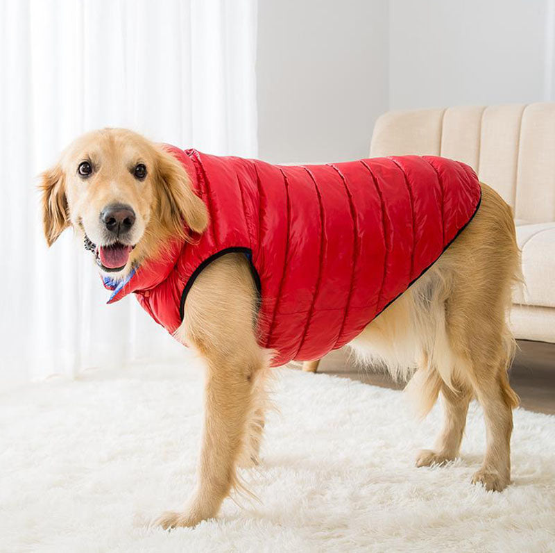 Abrigo de algodón de perro mediano grande de e invierno, ambos lados usan | Fei Zai Pet Store