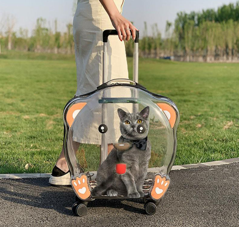 Nouveau sac de chat chien animal de compagnie trolley transparent