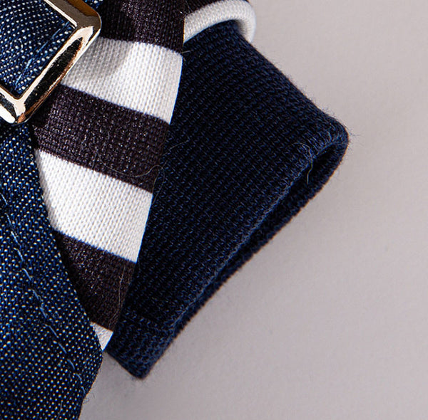 Salopette en denim rayée pour chat, vêtements fins à quatre pattes, mignons, automne et hiver, vêtements pour animaux de compagnie