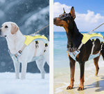夏に涼しく快適な犬用チェストハーネス。小型犬・大型犬用。ゴールデンレトリバー用牽引ロープ。ベスト型ペット犬用リード。