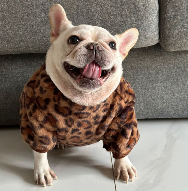 Ropa para perros de otoño e invierno, Dou Ying Dou francés, Bugs, Corgi, Bully, ropa cálida para mascotas, terciopelo y gruesa