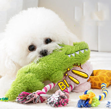Jouet couineur en peluche Crazy Zoo pour chiens de petite et moyenne taille, soulageant la poussée dentaire et l'ennui, jouet compagnon pour bichon frisé