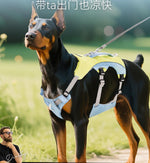 夏に涼しく快適な犬用チェストハーネス。小型犬・大型犬用。ゴールデンレトリバー用牽引ロープ。ベスト型ペット犬用リード。