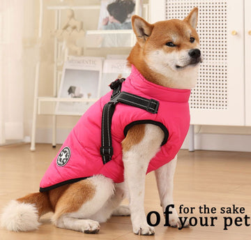 Pet clothes autumn and winter traction warm plush thickened clothing pet four seasons clothes dog cotton coat