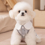 New pet clothing Yorkshire Terrier Bichon autumn thin traction ladies dress dog clothes