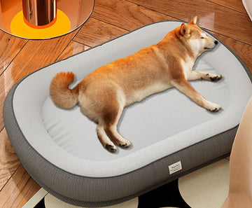Autumn and winter warm thickened oval pet dog kennel for medium and small dogs golden retriever big dog kennel