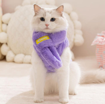 Nouveaux vêtements pour animaux de compagnie dessin animé imitation fourrure de lapin chaton chaud avec écharpe gilet Devon chat poupée vêtements pour chat