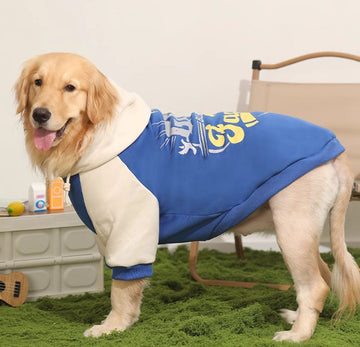 Dog clothes autumn and winter models Labrador medium and large dogs Border Collie pet cotton clothes Golden Retriever sweater winter warm