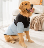Manteau en coton épissé à deux pattes chaud, simple et à la mode pour chiens de taille moyenne et grande en automne et en hiver, vêtements pour chiens de grande taille golden retriever