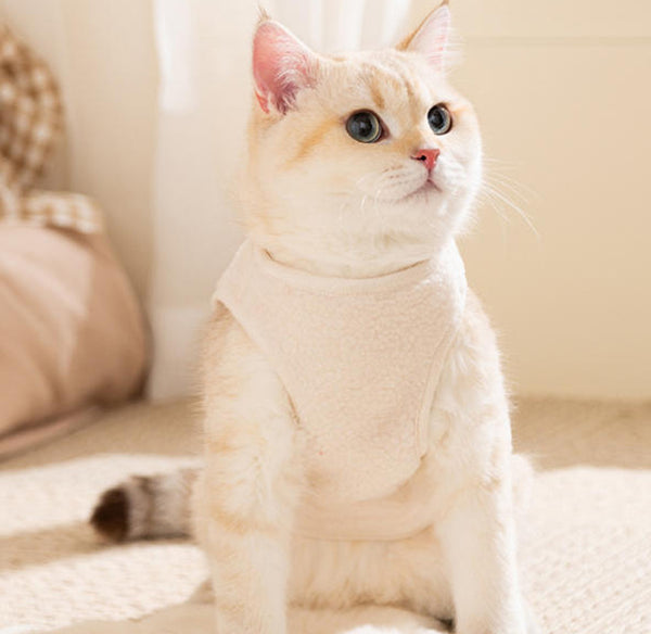 Cat clothes autumn and winter warm fleece coat for kittens Devon cat cute bear puppy vest pet clothing