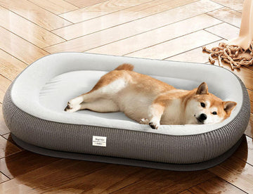 Autumn and winter warm thickened oval pet dog kennel for medium and small dogs golden retriever big dog kennel