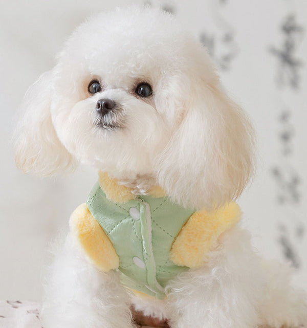 otoño e invierno nuevo chaleco para perros a prueba de viento y ropa para mascotas a prueba de frío