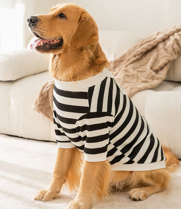 Autumn and winter dog medium and large dog golden retriever big dog striped cartoon print big dog sweatshirt Samoyed pet clothes
