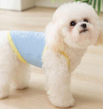 Dünne, atmungsaktive und niedliche, leuchtende Bären-reflektierende Sonnencreme und coole Sling-Hundekleidung für Hunde im Frühling und Sommer