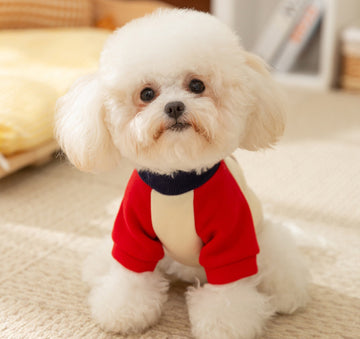 Autumn and winter dog cute cartoon backpack cat two-legged sweater thin fleece warm Bichon Teddy pet dog clothes