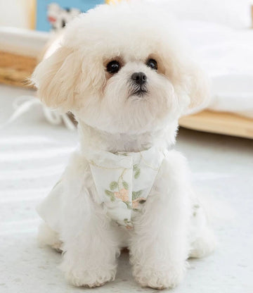 Neue Frühling und Sommer Welpen dreidimensionale Schleife Kleid Katze Prinzessin Stil Rock dünne Haustier Hund Kleidung
