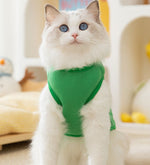 Cat autumn and winter warm early autumn thin velvet cute hairless cat big eyes cute traction clothes