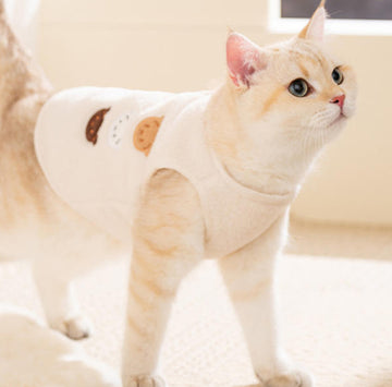 Cat clothes autumn and winter warm fleece coat for kittens Devon cat cute bear puppy vest pet clothing