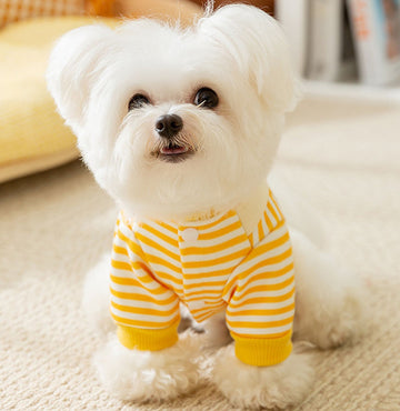 Autumn and winter cute little penguin striped suspenders two-legged dog sweater early autumn thin fleece pet teddy clothes