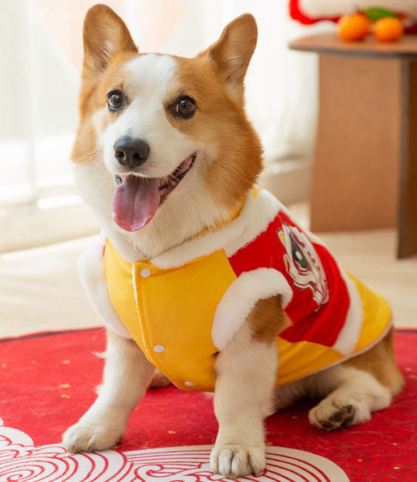 Otoño e Invierno Corgi Año Nuevo Tang traje perros pequeños y medianos Dachshund dos pies abrigo de algodón cálido banco perro mascota ropa para perros