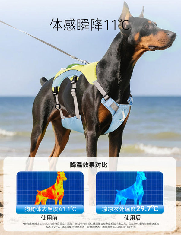 夏に涼しく快適な犬用チェストハーネス。小型犬・大型犬用。ゴールデンレトリバー用牽引ロープ。ベスト型ペット犬用リード。