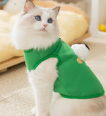 Cat autumn and winter warm early autumn thin velvet cute hairless cat big eyes cute traction clothes