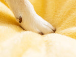 Detachable and washable pet deep sleep four-season universal pet nest