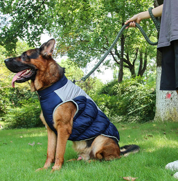 Dog clothes autumn and winter warm waterproof windproof vest traction reflective cotton coat Shiba Inu golden retriever medium and large thick
