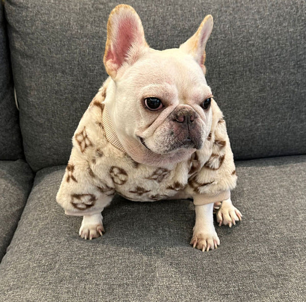 Ropa para perros de otoño e invierno, Dou Ying Dou francés, Bugs, Corgi, Bully, ropa cálida para mascotas, terciopelo y gruesa