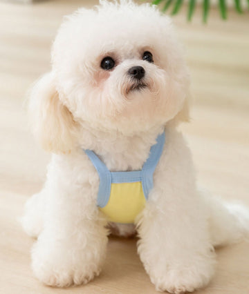 Dünne, atmungsaktive und niedliche, leuchtende Bären-reflektierende Sonnencreme und coole Sling-Hundekleidung für Hunde im Frühling und Sommer