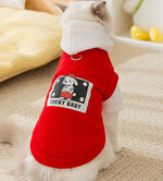 Cat autumn and winter trendy cool style drawstring hooded sweatshirt cat small and medium dogs hairless cat Teddy pet cat clothes