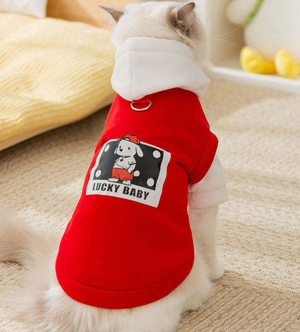 Cat autumn and winter trendy cool style drawstring hooded sweatshirt cat small and medium dogs hairless cat Teddy pet cat clothes
