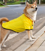 Chien d'automne et d'hiver ainsi que des vestes fraîches en velours pour chiens de petite et moyenne taille pour garder leurs pieds au chaud et des manteaux en coton tractionables pour chiens de compagnie