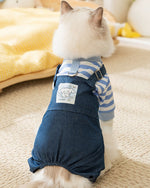 Salopette en denim rayée pour chat, vêtements fins à quatre pattes, mignons, automne et hiver, vêtements pour animaux de compagnie