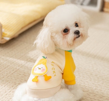Autumn and winter dog cute cartoon backpack cat two-legged sweater thin fleece warm Bichon Teddy pet dog clothes