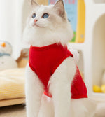 Cat autumn and winter warm early autumn thin velvet cute hairless cat big eyes cute traction clothes