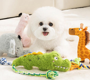 Jouet couineur en peluche Crazy Zoo pour chiens de petite et moyenne taille, soulageant la poussée dentaire et l'ennui, jouet compagnon pour bichon frisé