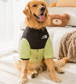 Manteau en coton épissé à deux pattes chaud, simple et à la mode pour chiens de taille moyenne et grande en automne et en hiver, vêtements pour chiens de grande taille golden retriever