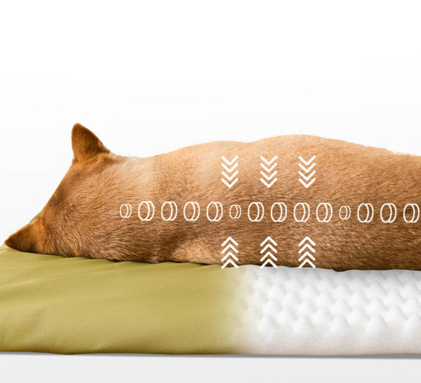 Pet bed for medium and large dogs Golden Retriever and Border Collie autumn and winter sleeping dog bed warm dog bed