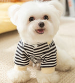 Autumn and winter cute little penguin striped suspenders two-legged dog sweater early autumn thin fleece pet teddy clothes