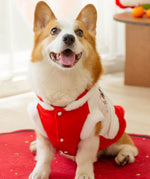 Otoño e Invierno Corgi Año Nuevo Tang traje perros pequeños y medianos Dachshund dos pies abrigo de algodón cálido banco perro mascota ropa para perros