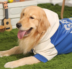 Dog clothes autumn and winter models Labrador medium and large dogs Border Collie pet cotton clothes Golden Retriever sweater winter warm