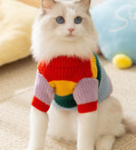 猫秋冬シンプルレインボーストライプセーター無毛猫暖かいプルオーバーセーターペット服