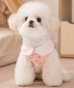 New pet clothing Yorkshire Terrier Bichon autumn thin traction ladies dress dog clothes