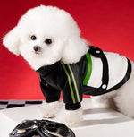 Chaqueta de cuero de motocicleta fresca para perros en otoño e invierno, chaqueta cortavientos de estilo americano, abrigo cálido de algodón para perros pequeños y medianos, ropa para mascotas
