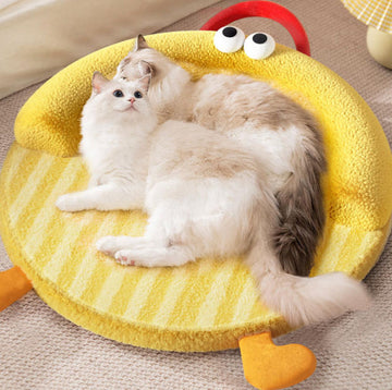 New autumn and winter thick warm big eyes cute sleeping dog mat dog bed cat bed
