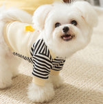 Autumn and winter cute little penguin striped suspenders two-legged dog sweater early autumn thin fleece pet teddy clothes