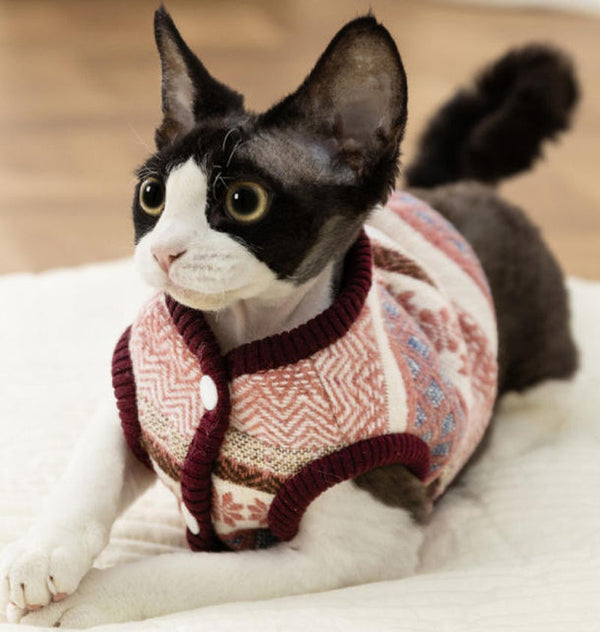 Neue Haustierkleidung für Herbst und Winter, warm, kuschelig, für Kätzchen und Zweibeiner
