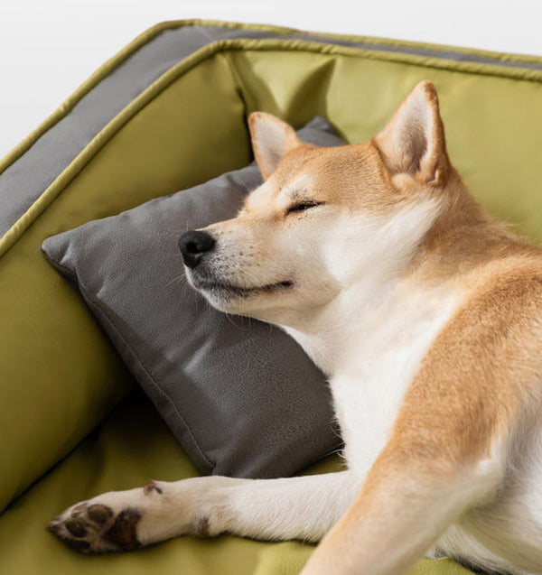 Pet bed for medium and large dogs Golden Retriever and Border Collie autumn and winter sleeping dog bed warm dog bed